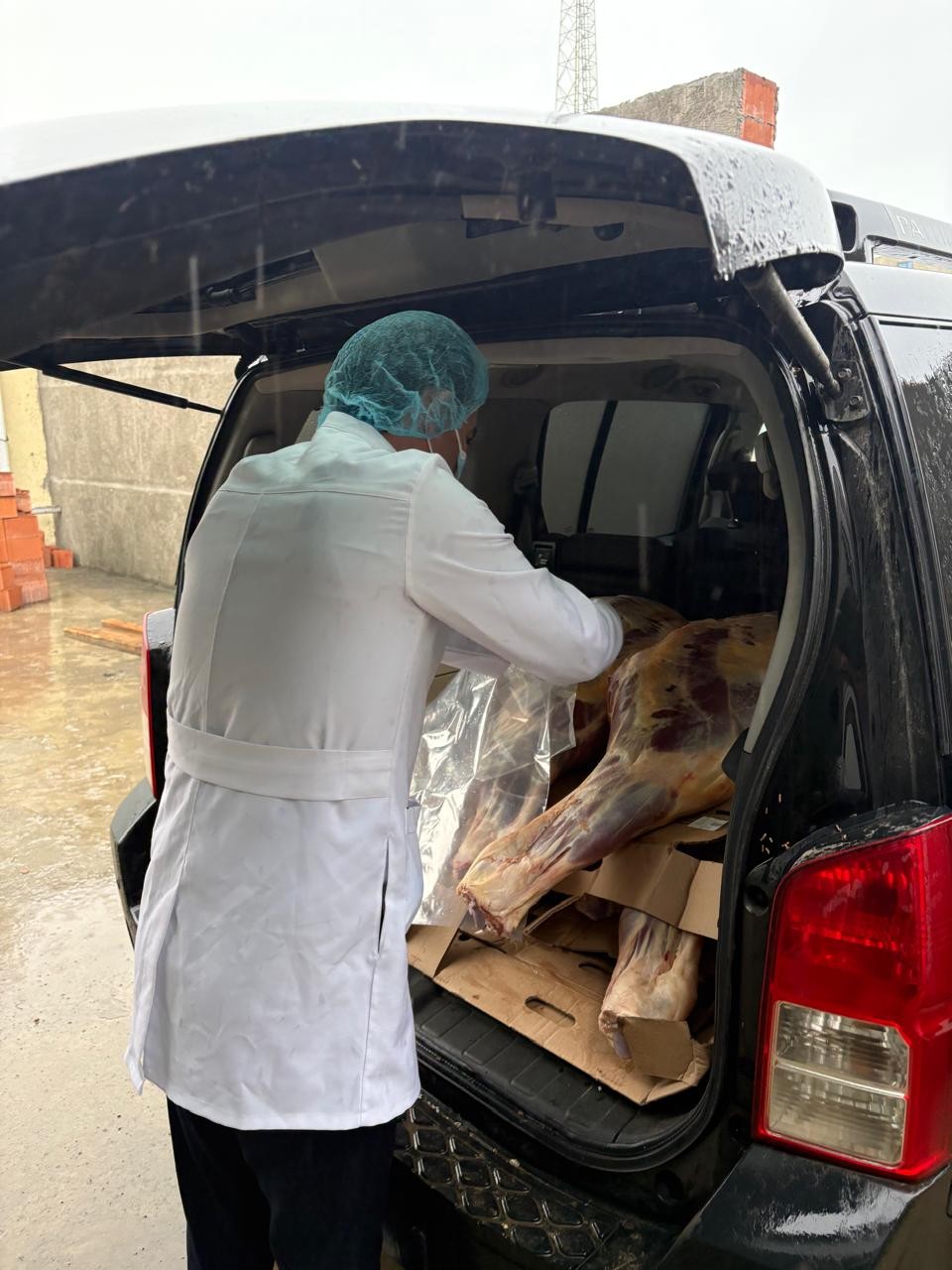 Bakıya gətirilən 227 kq at əti müsadirə olundu - FOTOLAR